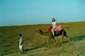 A camel ride in India