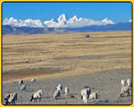 view of Tibatn landscape on the way to Kailash mansarovar yatra