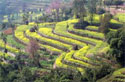 Mid hills of Nepal