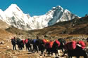 Yak Caraven in Everest Region as  transport - Nepal Trekking